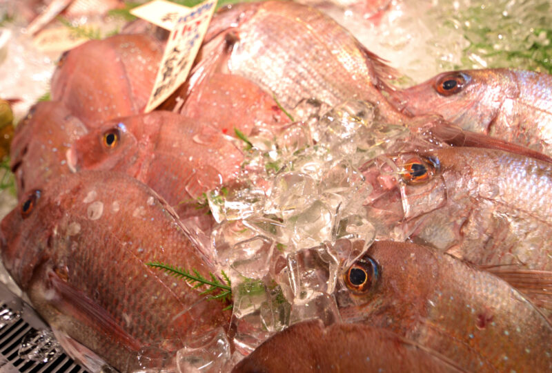 南知多町・魚太郎に並ぶ新鮮な鯛 photo by CHITAZINE