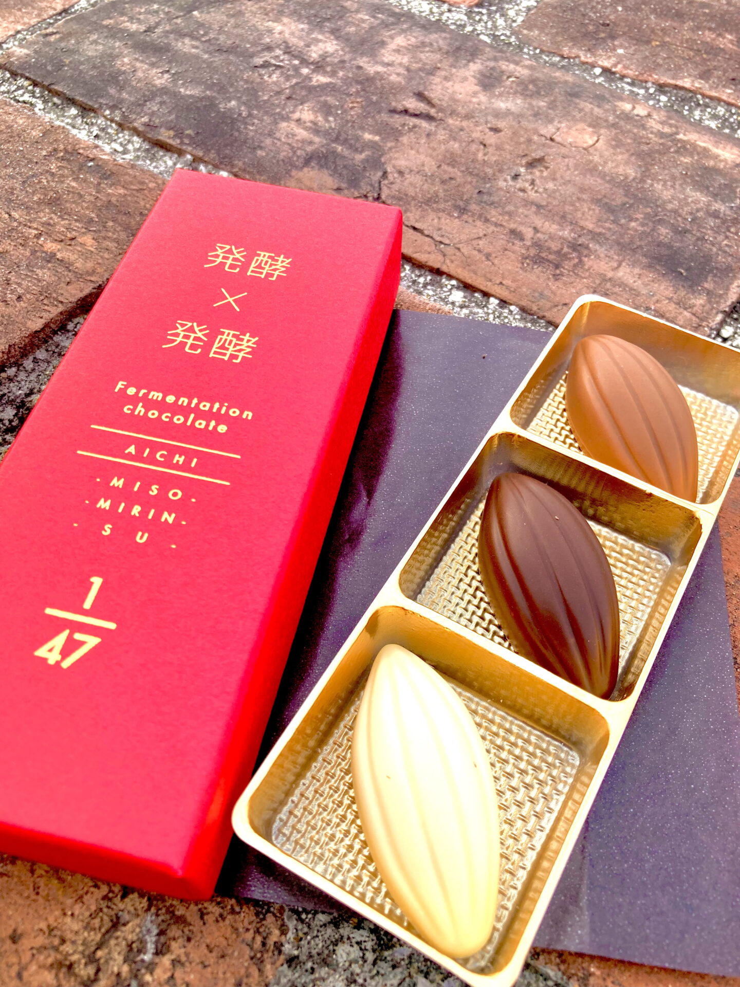 参照元:PR TIMES / 特別非営利活動法人 半田市観光協会 “発酵×発酵”のチョコレート。